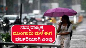 Heavy Rain Alert