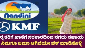 KMF Amount Subsidy