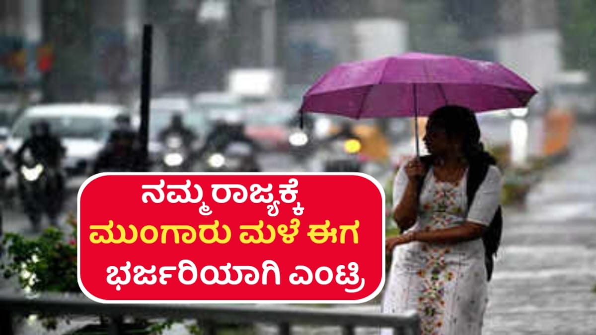 Heavy Rain Alert