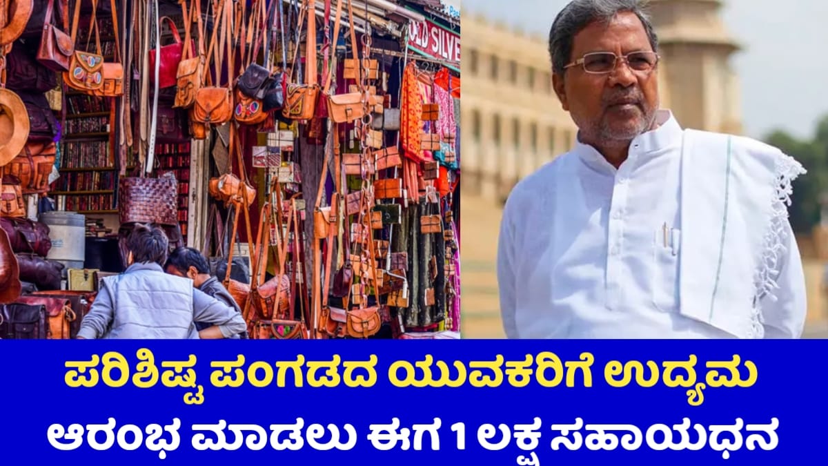 Self-Employment Scheme