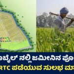 Land Subdivision