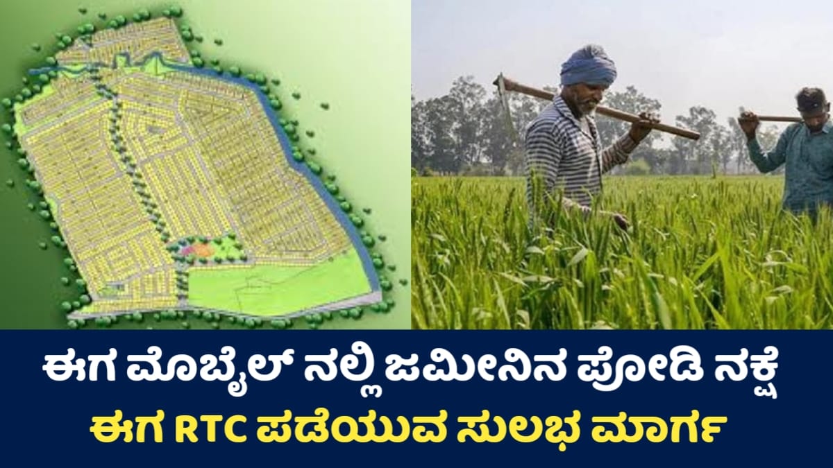 Land Subdivision