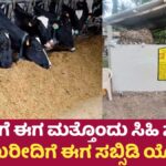 Cow subsidy Scheme