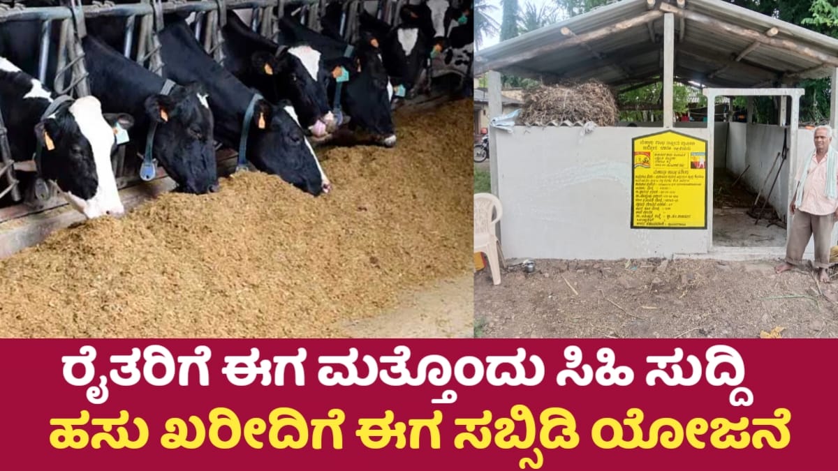 Cow subsidy Scheme